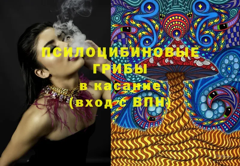 Псилоцибиновые грибы MAGIC MUSHROOMS  Верхний Тагил 